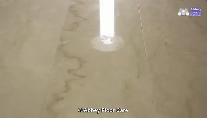 Understanding the Critical Aspects of Marble Etching for Effective Care