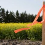 Subdivision Surveys for Clyde North: Your Essential Guide