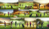 Golf Lessons in South Africa: Your Essential Choice Guide