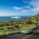 Scenic Routes and Hidden Gems on a Maui Upcountry Adventure