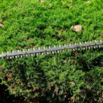 Hedge Trimming Tips to Enhance West Coker Gardens