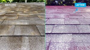 Understanding the Variations Between House Washing Techniques