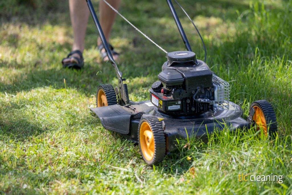 Grass Cutting Services: Essential Tips for Lawns in Yeovil