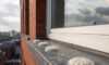 Bird Proofing Solutions: Innovative Spike-Free Gel Options