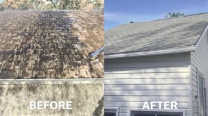 Understand the Essential Role of Soft Washing in Comprehensive Home Upkeep
