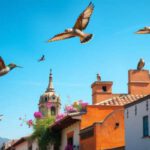 Bird Watching Tips in San Miguel De Allende for Enthusiasts