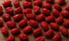 Dried Barberries in Persian Cuisine: Classic Recipes to Try