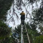 Electrical Defect Notice Response in Mid North Coast Region