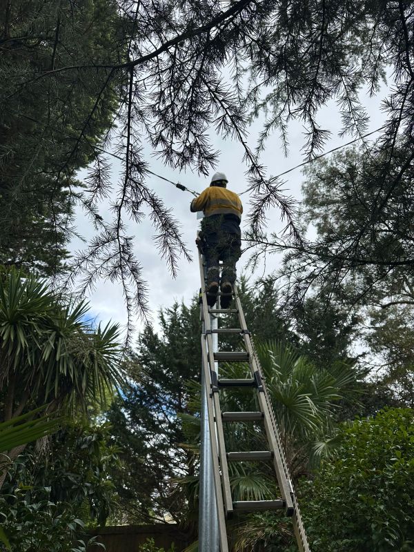 Electrical Defect Notice Response in Mid North Coast Region